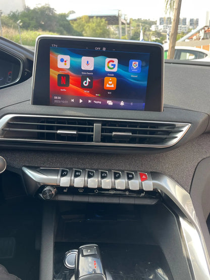 AIVEX für Peugeot