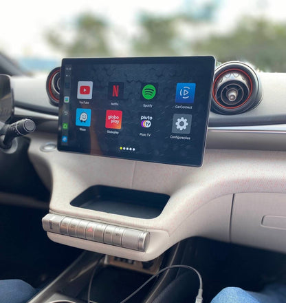 AIVEX für BYD