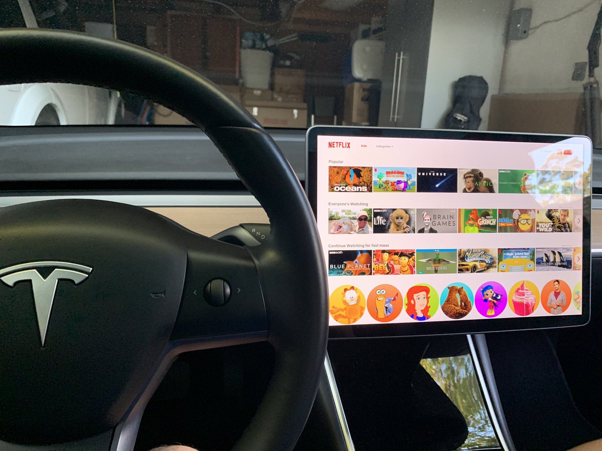 AIVEX für TESLA-Fahrzeuge